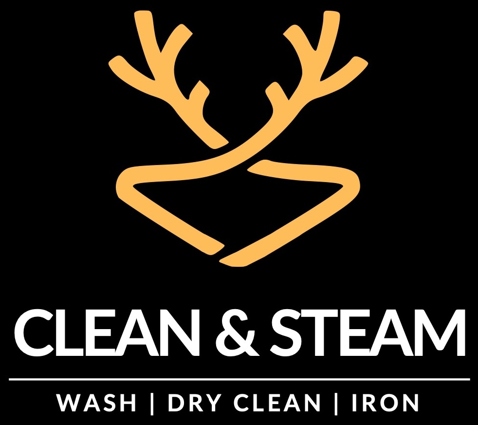 Clean & Steam Logo